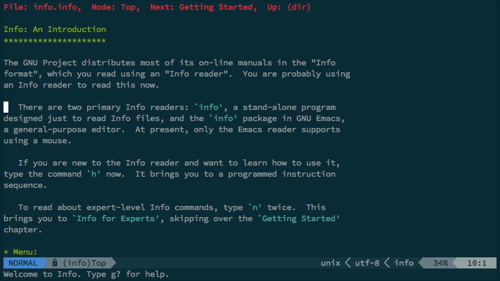 info.vim screenshot